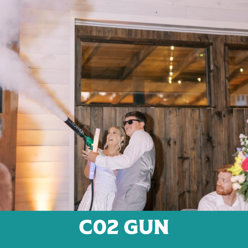 c02 gun